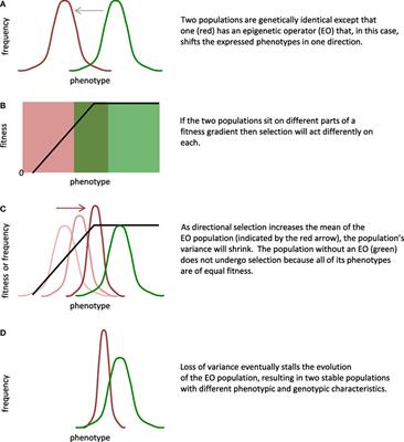 Epigenetic Operators and the Evolution of Physically Embodied Robots